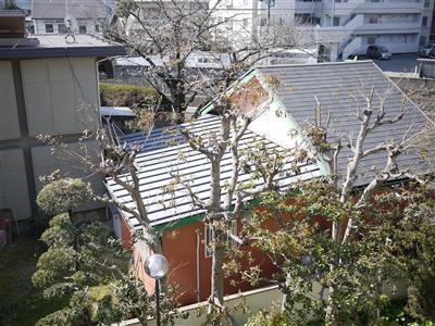 Fujisaki window view